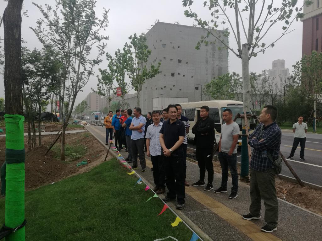 点击查看大图